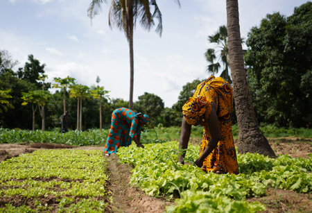 Farming